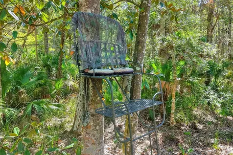 Pine Island Drive Weeki Wachee FL 34613