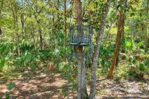 Pine Island Drive Weeki Wachee FL 34613