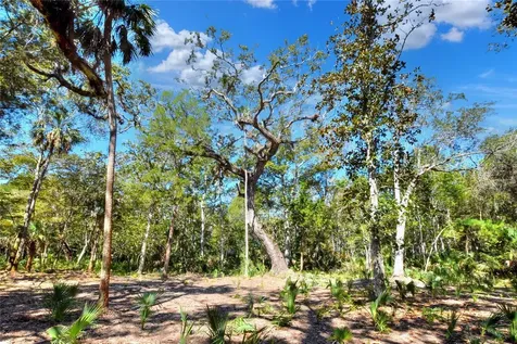 Pine Island Drive Weeki Wachee FL 34613