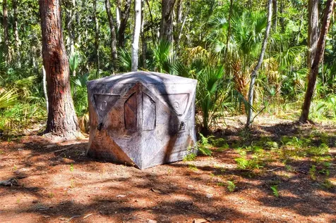 Pine Island Drive Weeki Wachee FL 34613