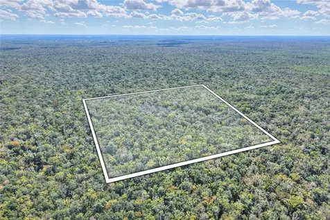 Pine Island Drive Weeki Wachee FL 34613