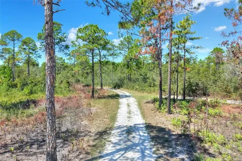 Pine Island Drive Weeki Wachee FL 34613
