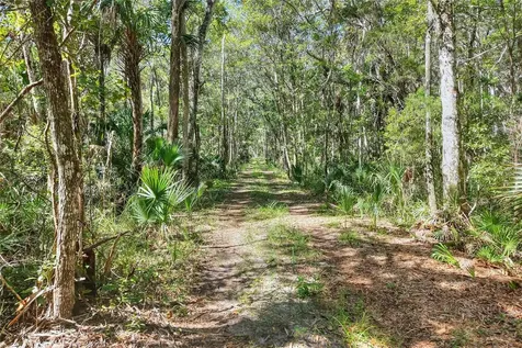 Pine Island Drive Weeki Wachee FL 34613