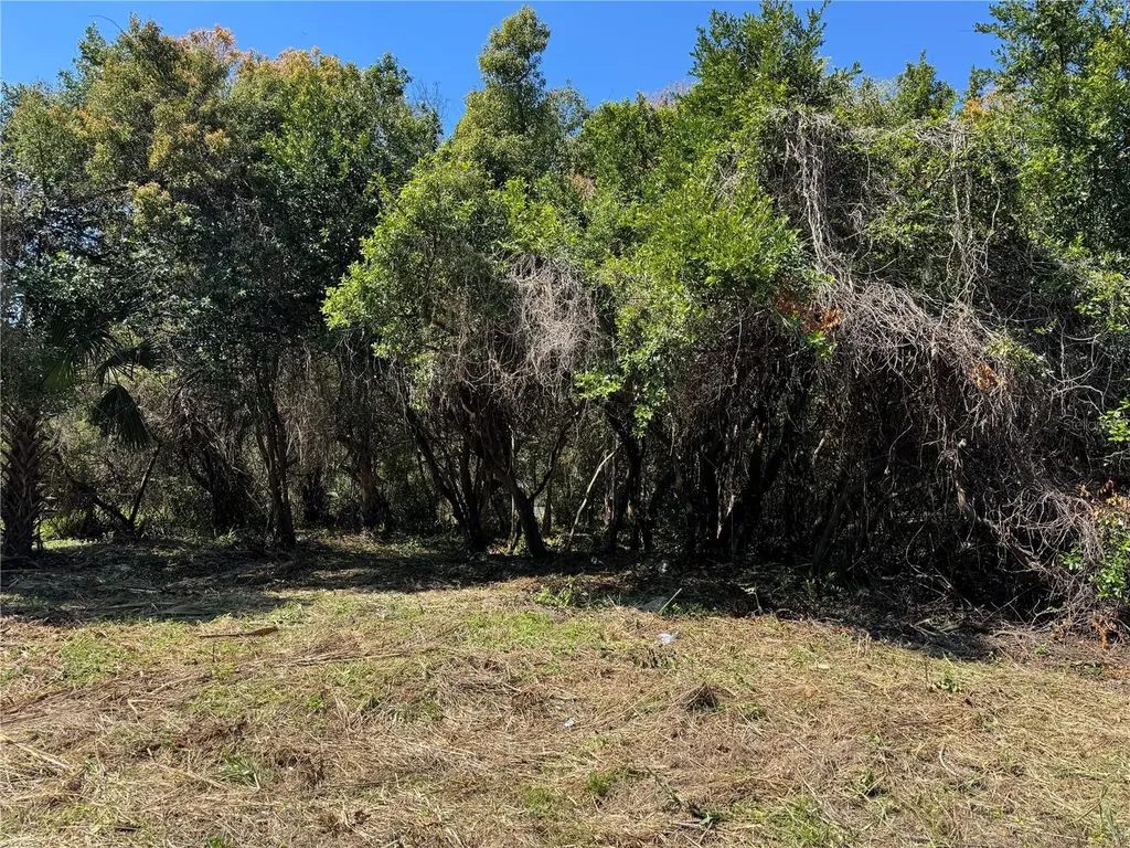 Beau Court Orange City FL 32763