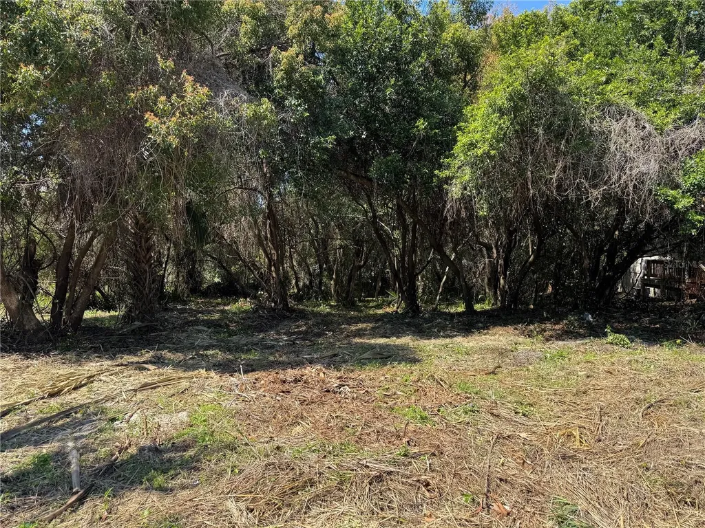 Beau Court Orange City FL 32763