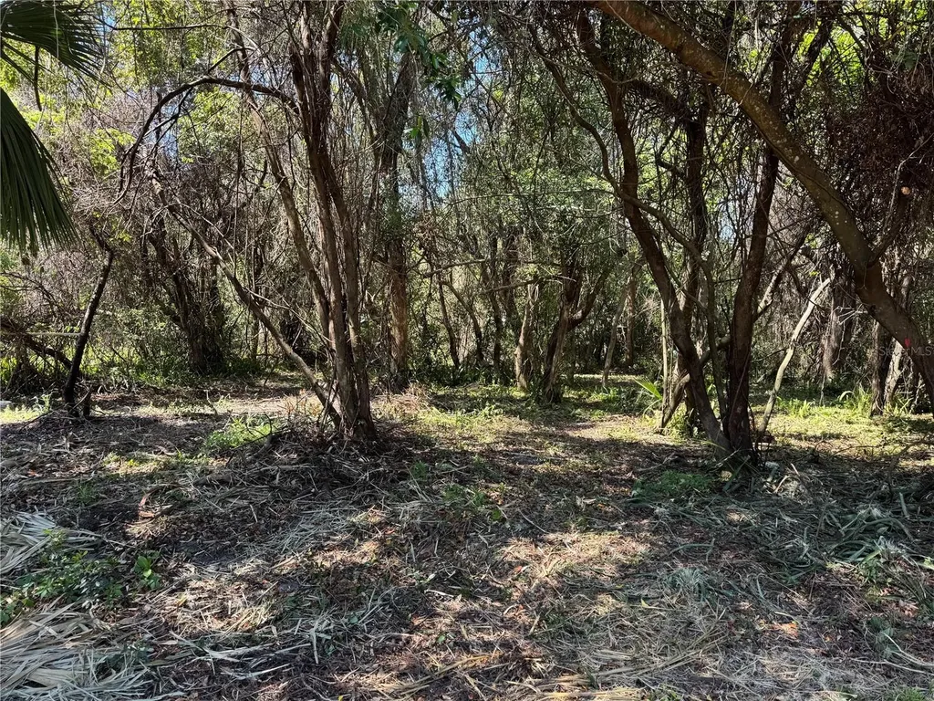 Beau Court Orange City FL 32763