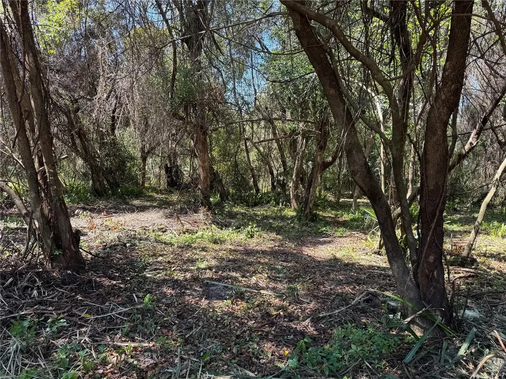 Beau Court Orange City FL 32763