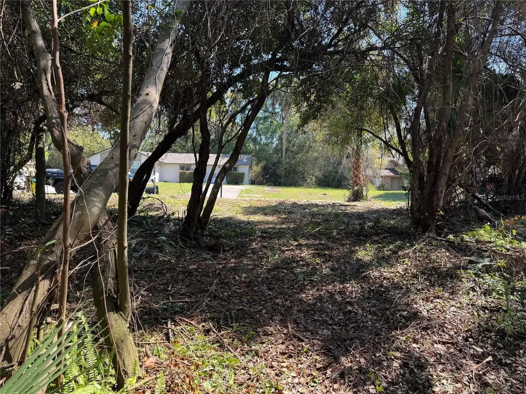 Beau Court Orange City FL 32763