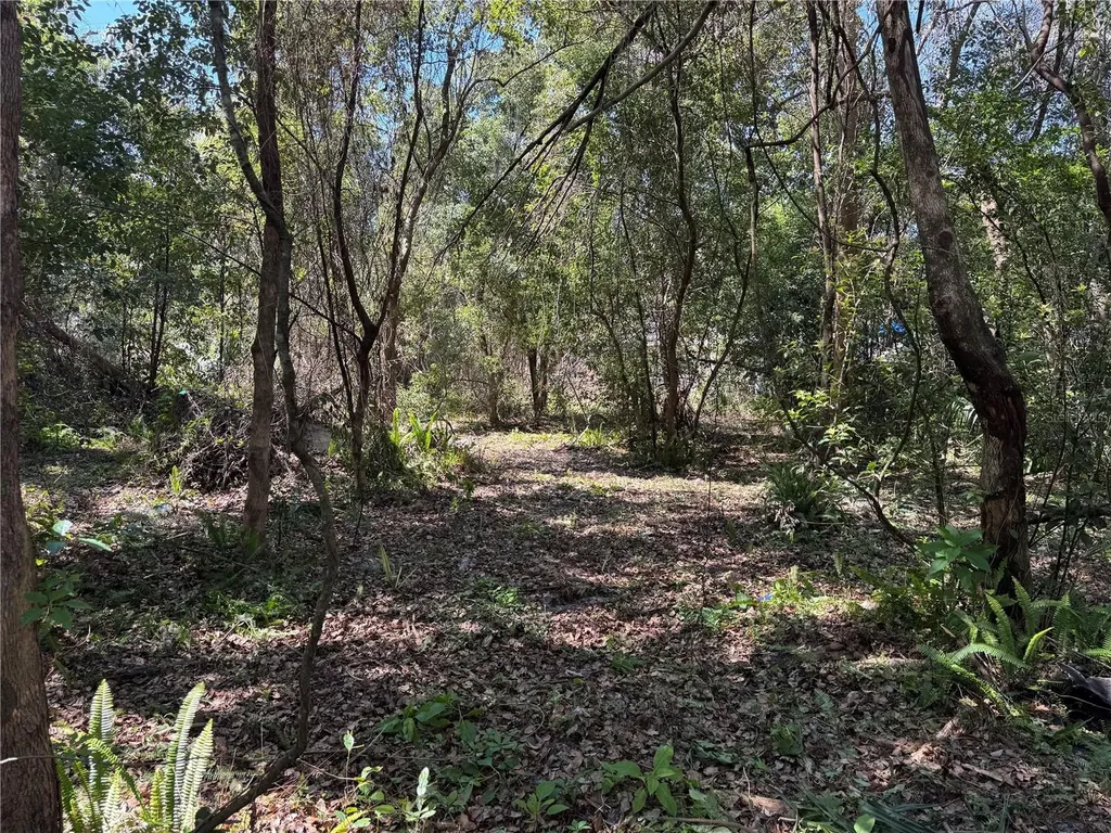 Beau Court Orange City FL 32763