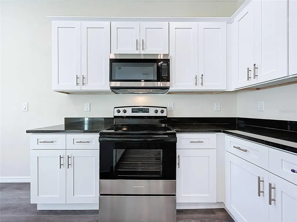 4364 Cambio Gardens Court Tampa FL 33610