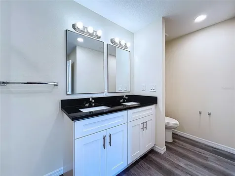 4364 Cambio Gardens Court Tampa FL 33610