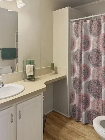 3031 Moss Hill Street Wesley Chapel FL 33543