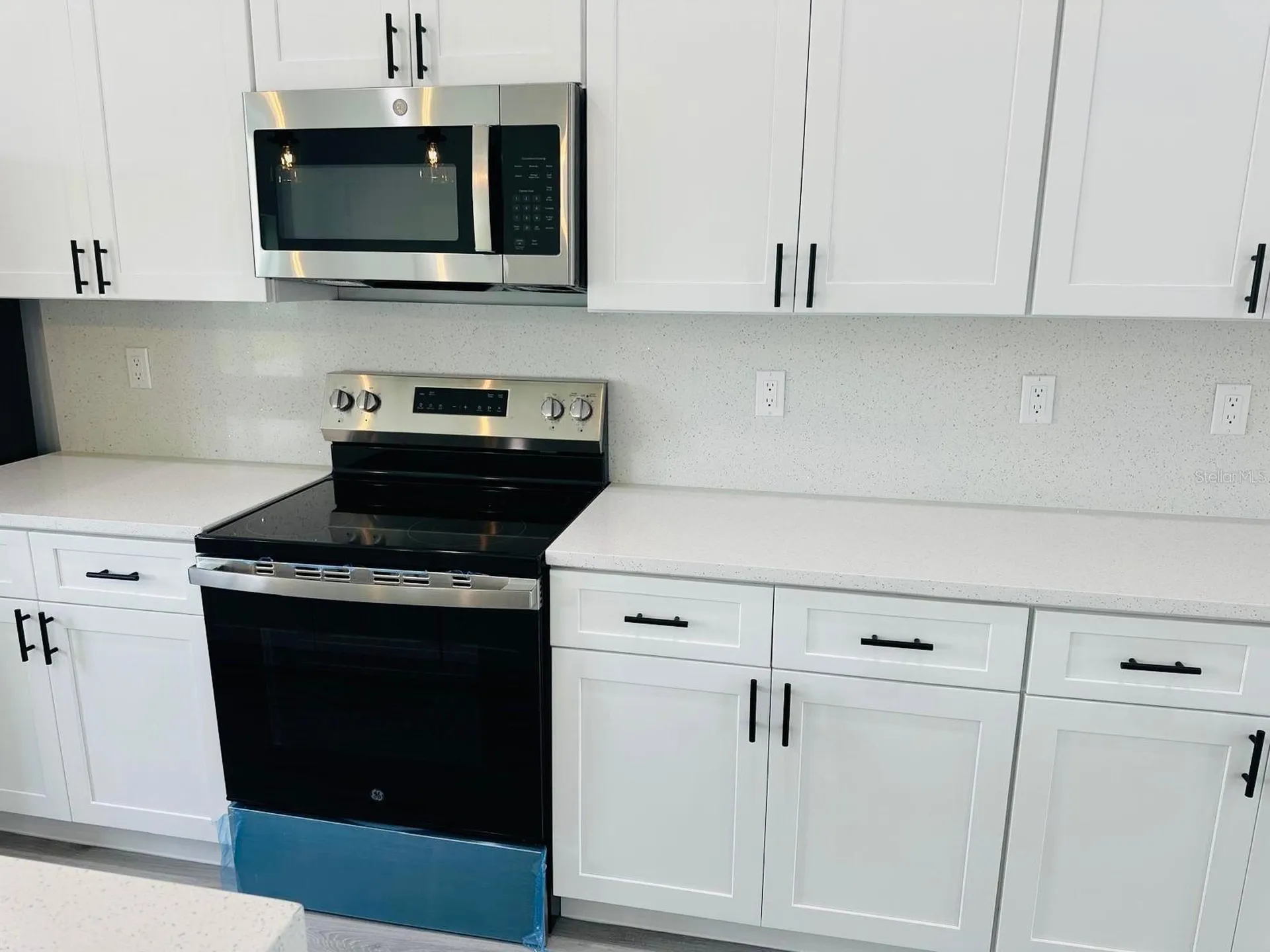 3781 SW 131 Street Place Ocala FL 34473