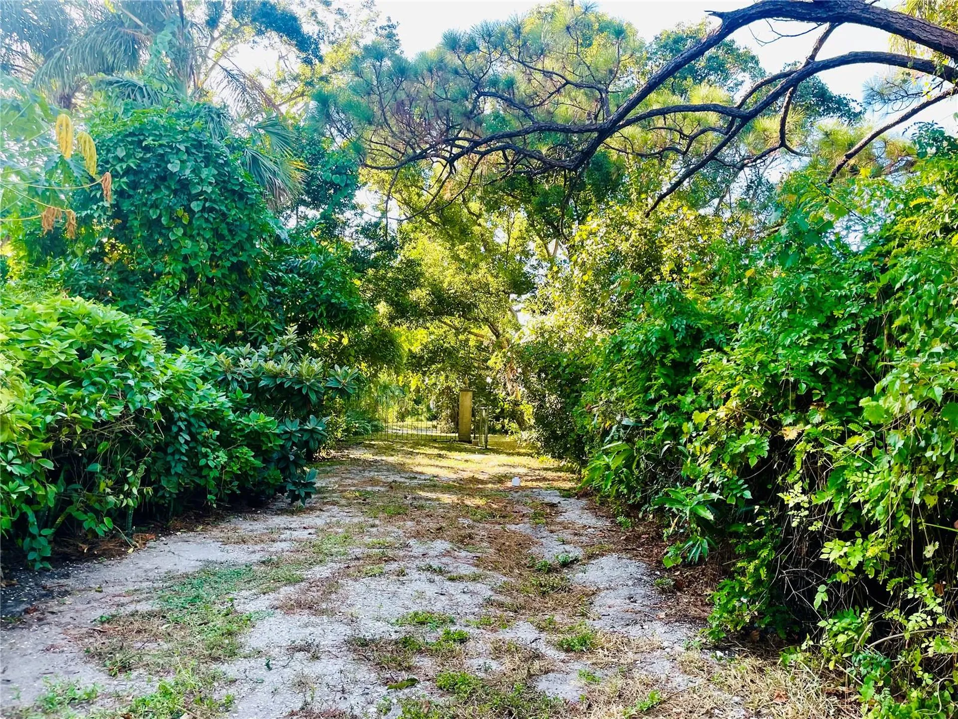 550 46th Street Sarasota FL 34234