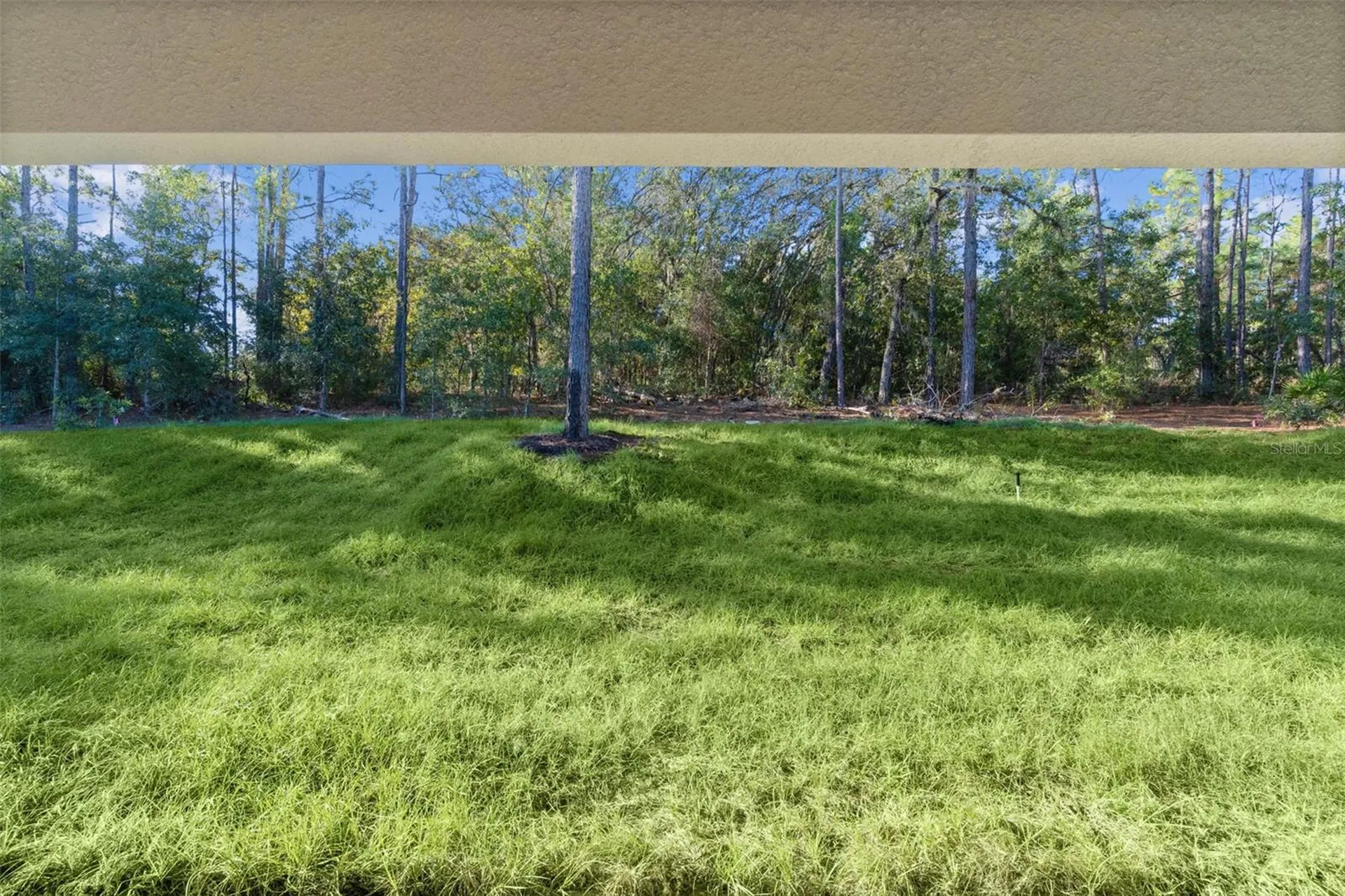 7957 N Primrose Drive Citrus Springs FL 34434