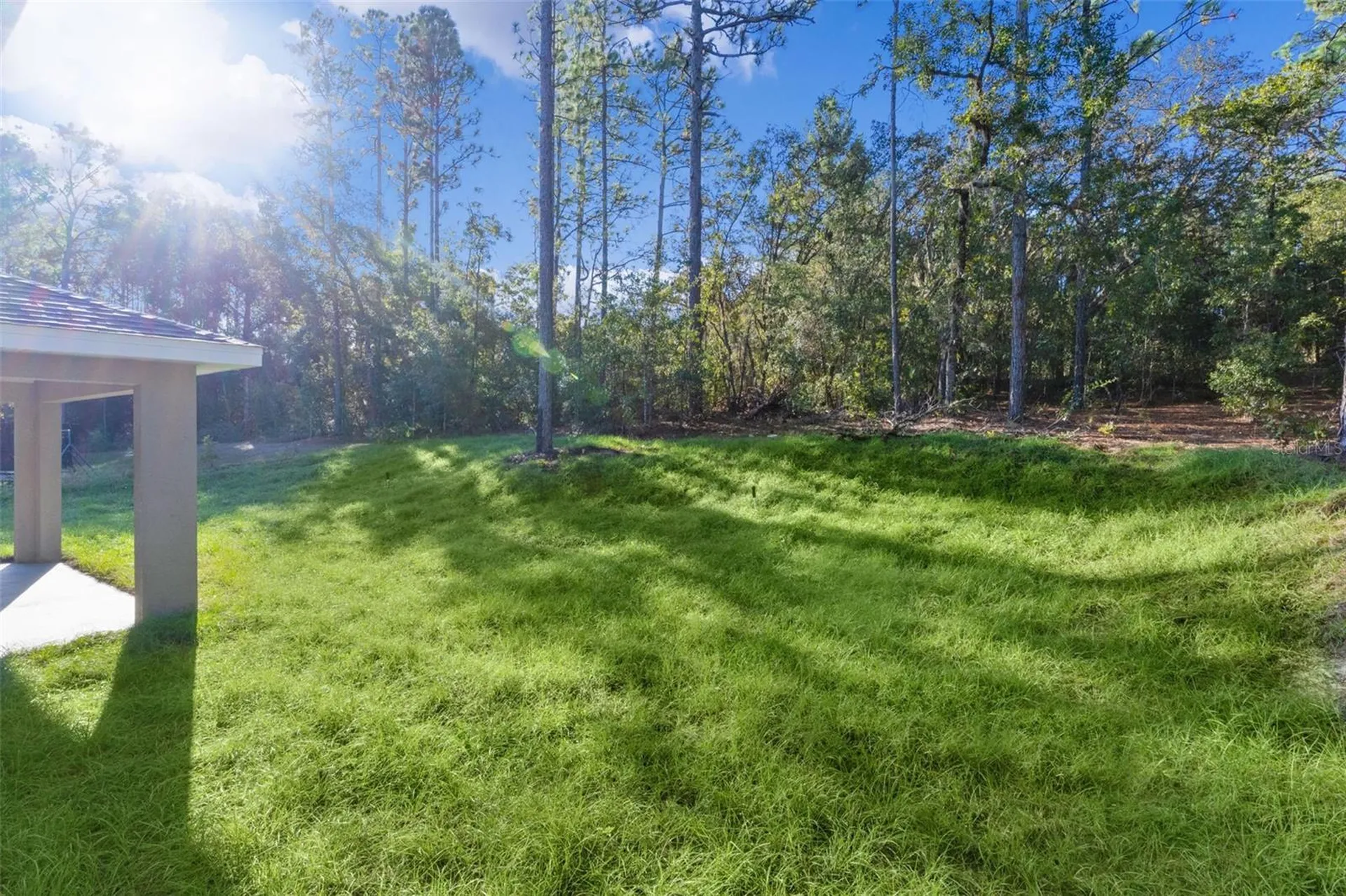 7957 N Primrose Drive Citrus Springs FL 34434