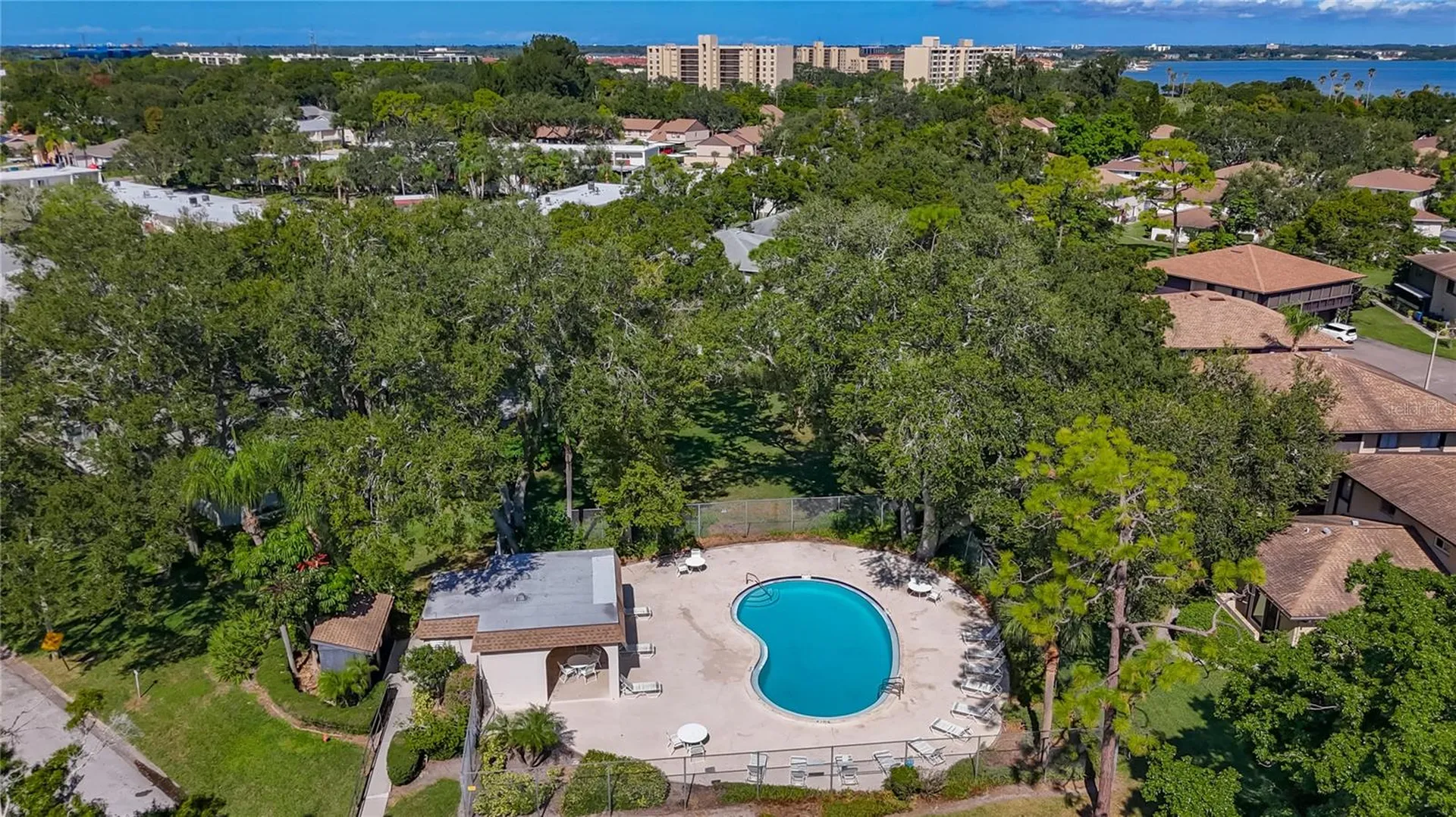 2933 Lichen Lane Clearwater FL 33760