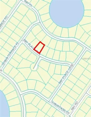 00 Bay Place Way Ocklawaha FL 32179