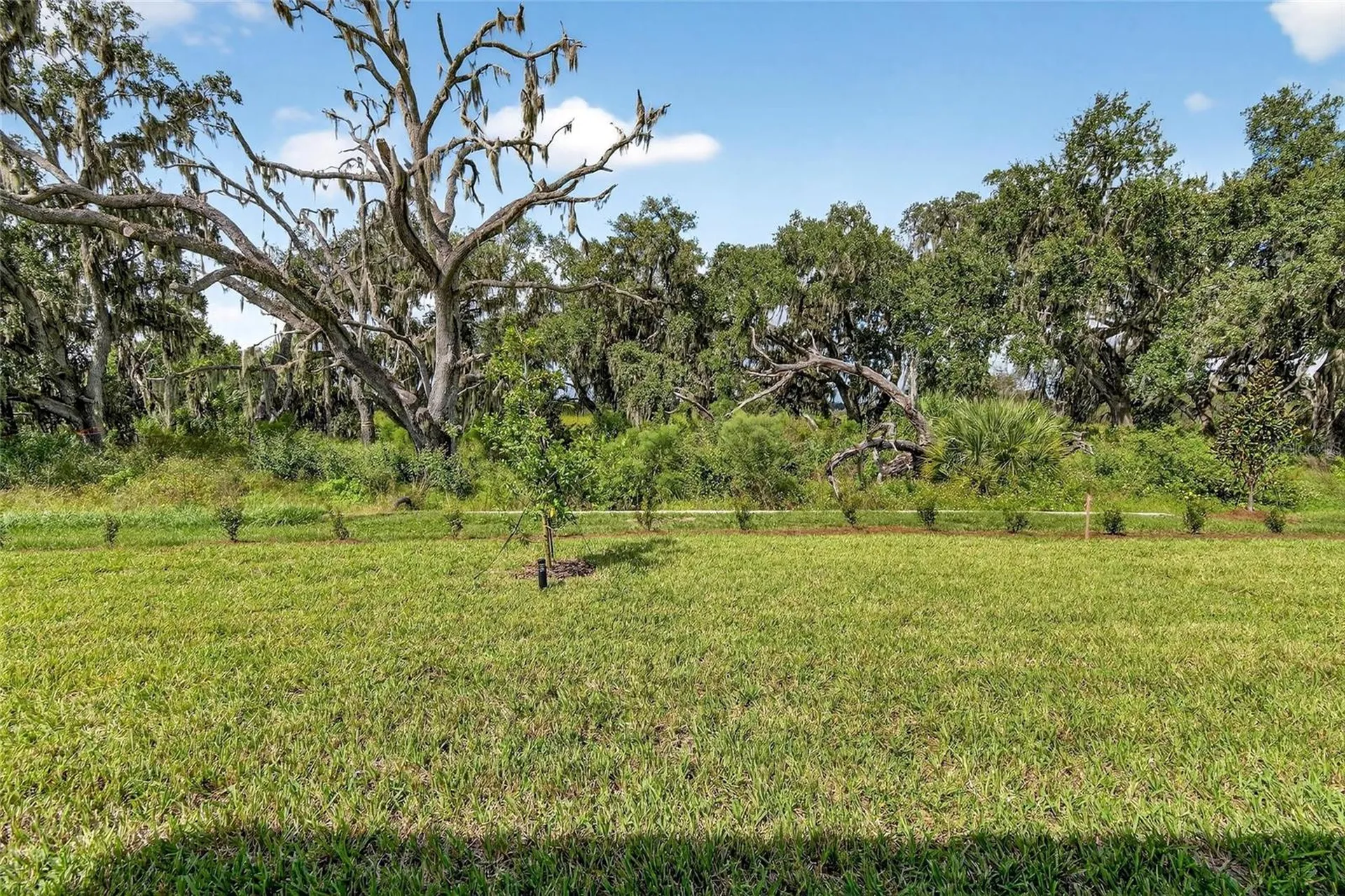 4025 Westwood Fields Loop Plant City FL 33565