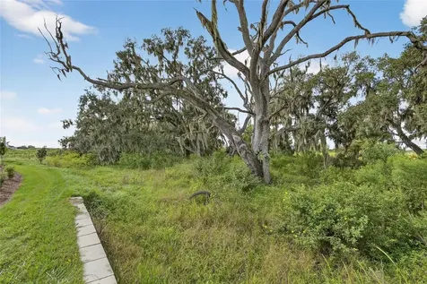 4025 Westwood Fields Loop Plant City FL 33565