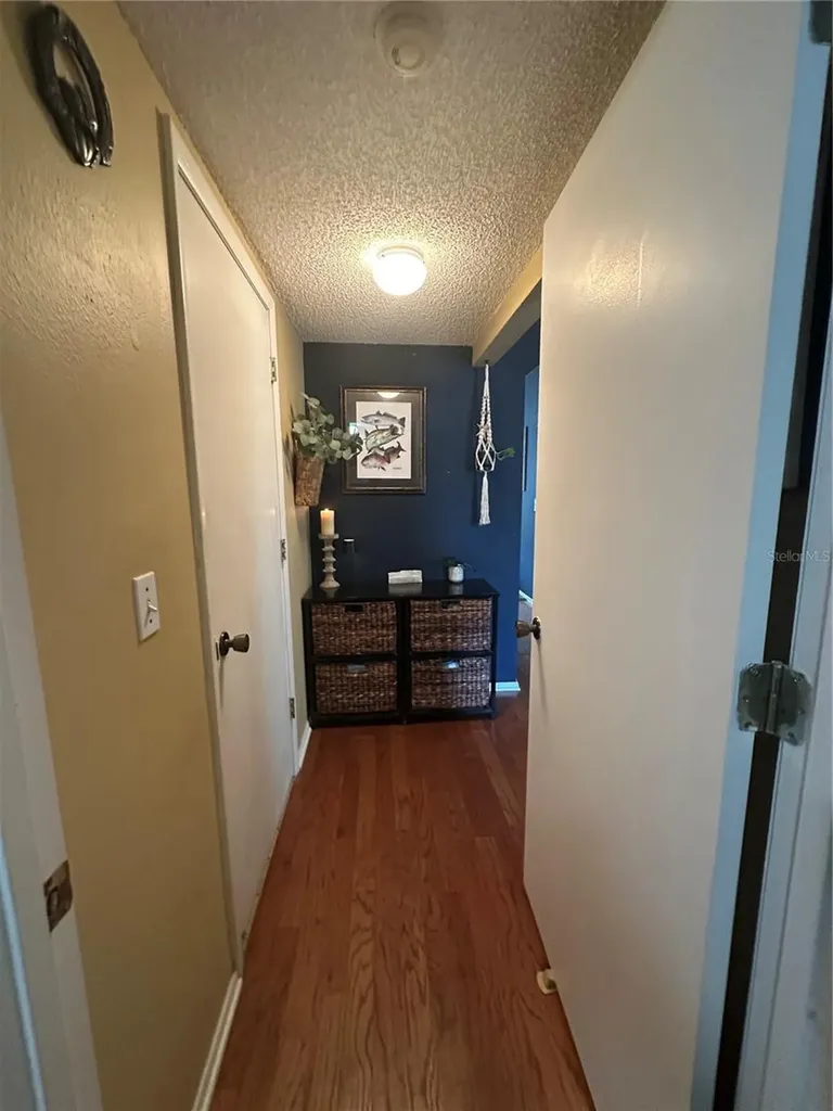 1654 Bayhill Drive Oldsmar FL 34677