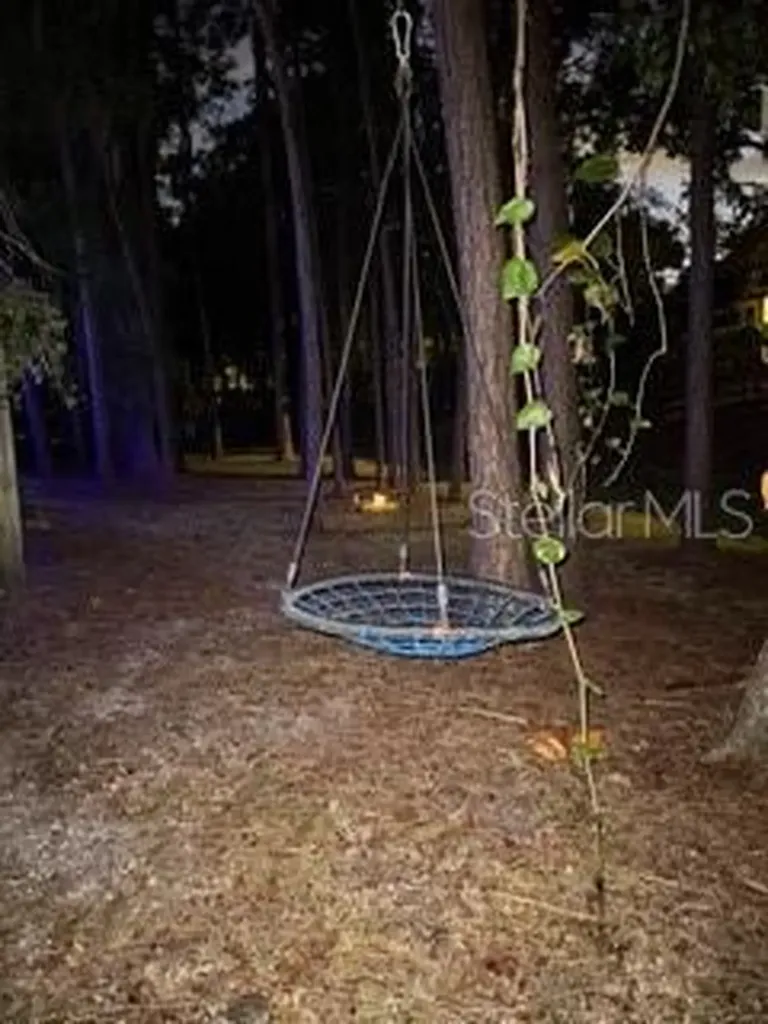 1654 Bayhill Drive Oldsmar FL 34677