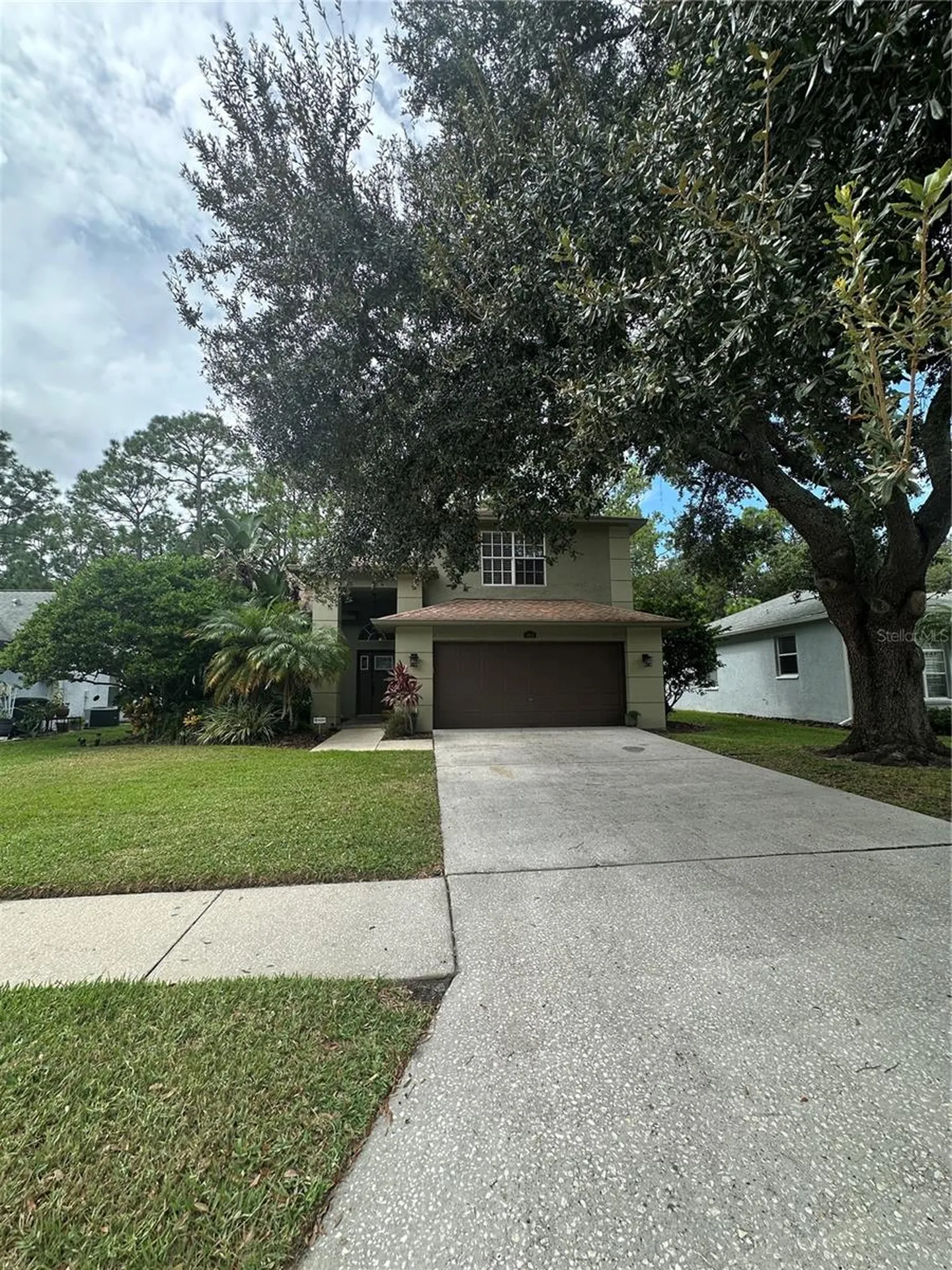 1654 Bayhill Drive Oldsmar FL 34677