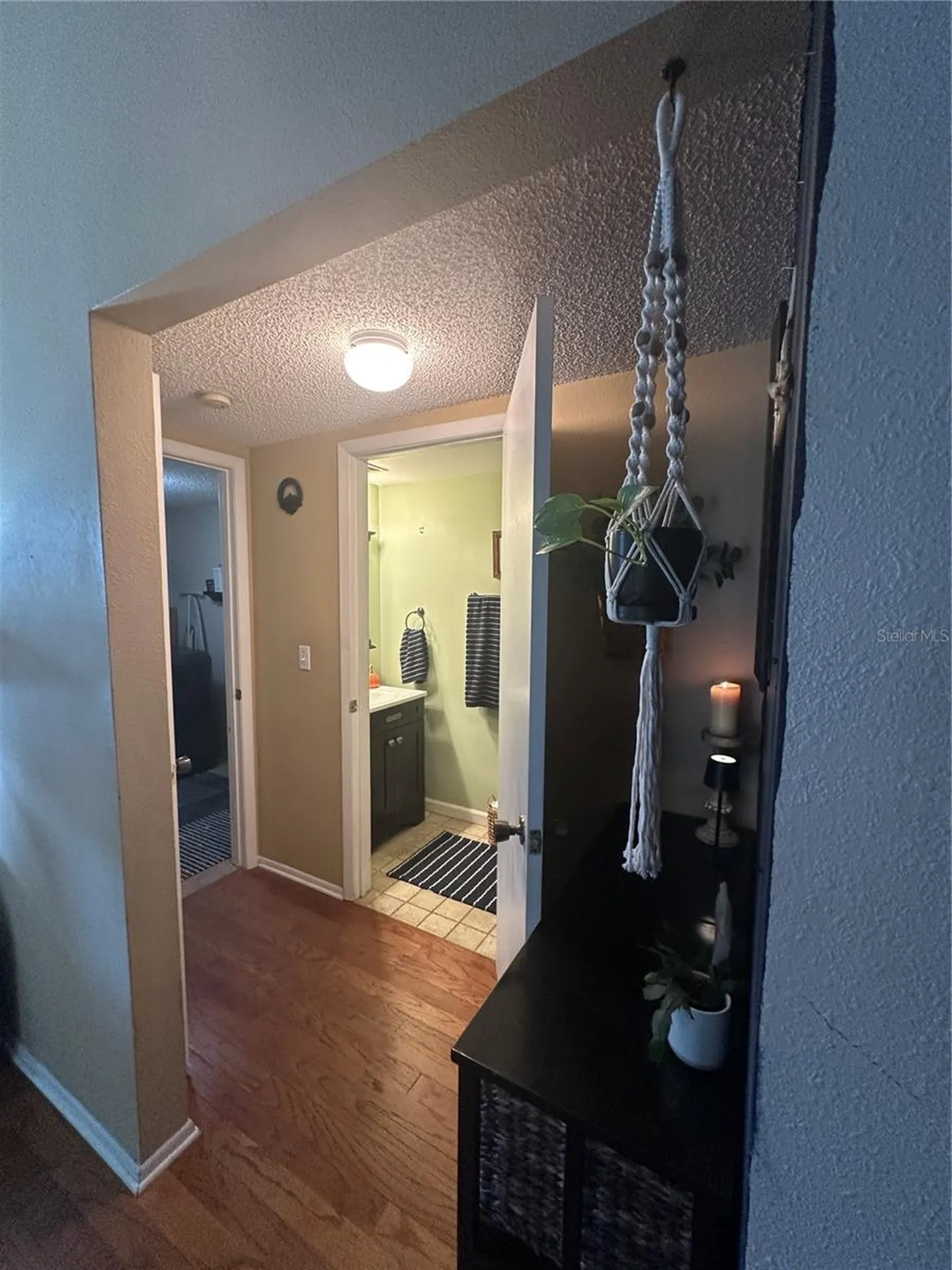 1654 Bayhill Drive Oldsmar FL 34677