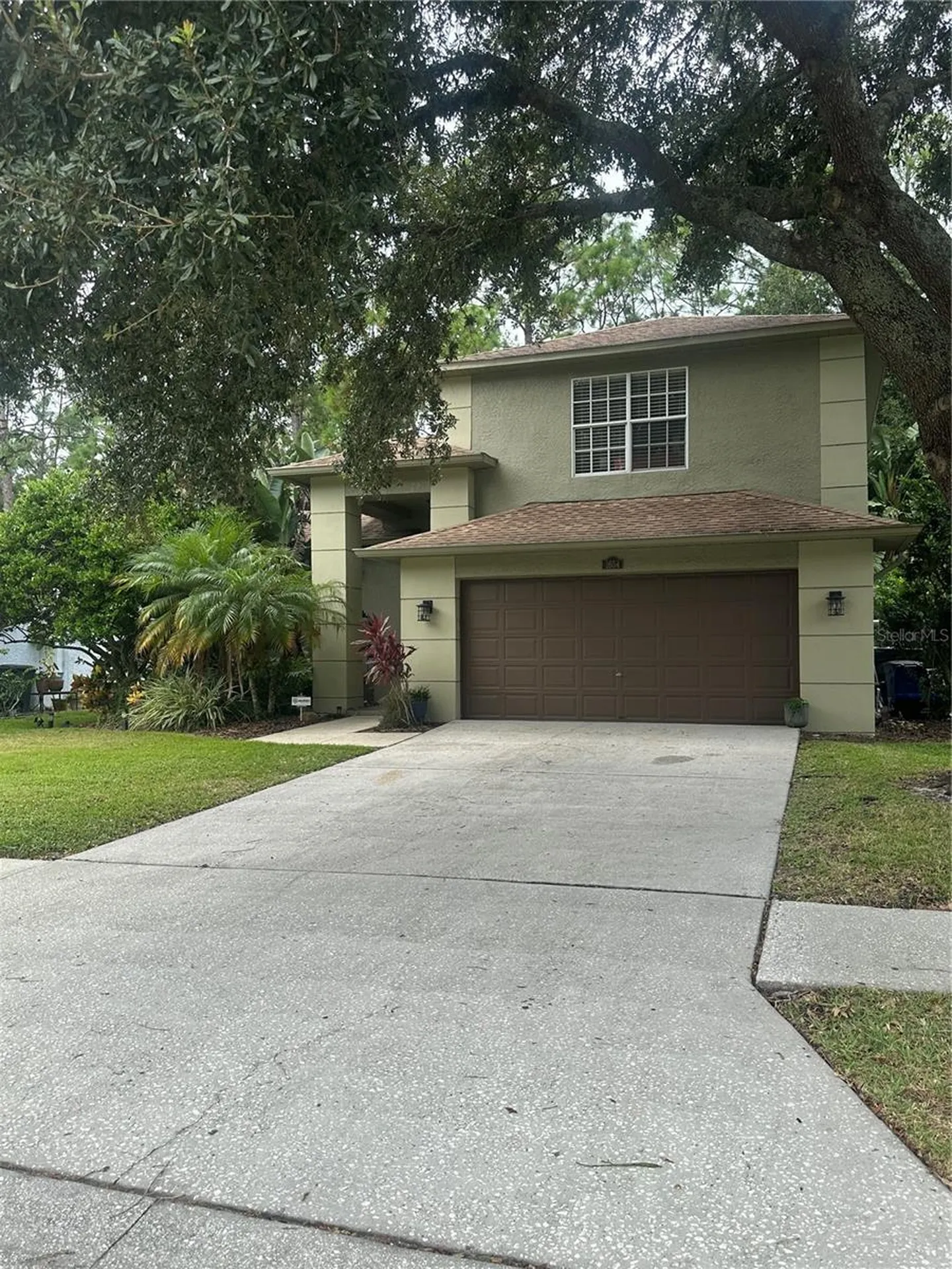1654 Bayhill Drive Oldsmar FL 34677