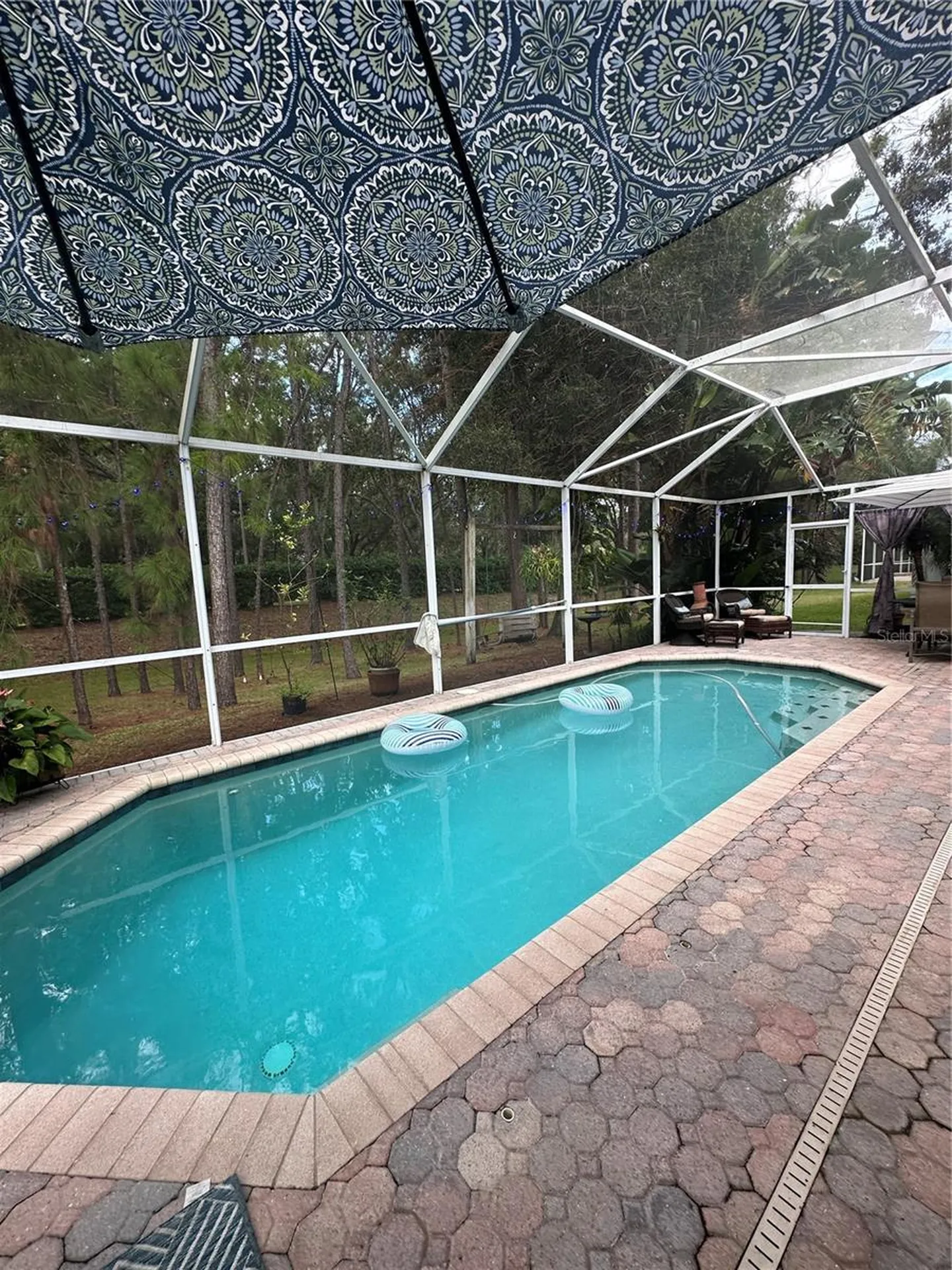 1654 Bayhill Drive Oldsmar FL 34677
