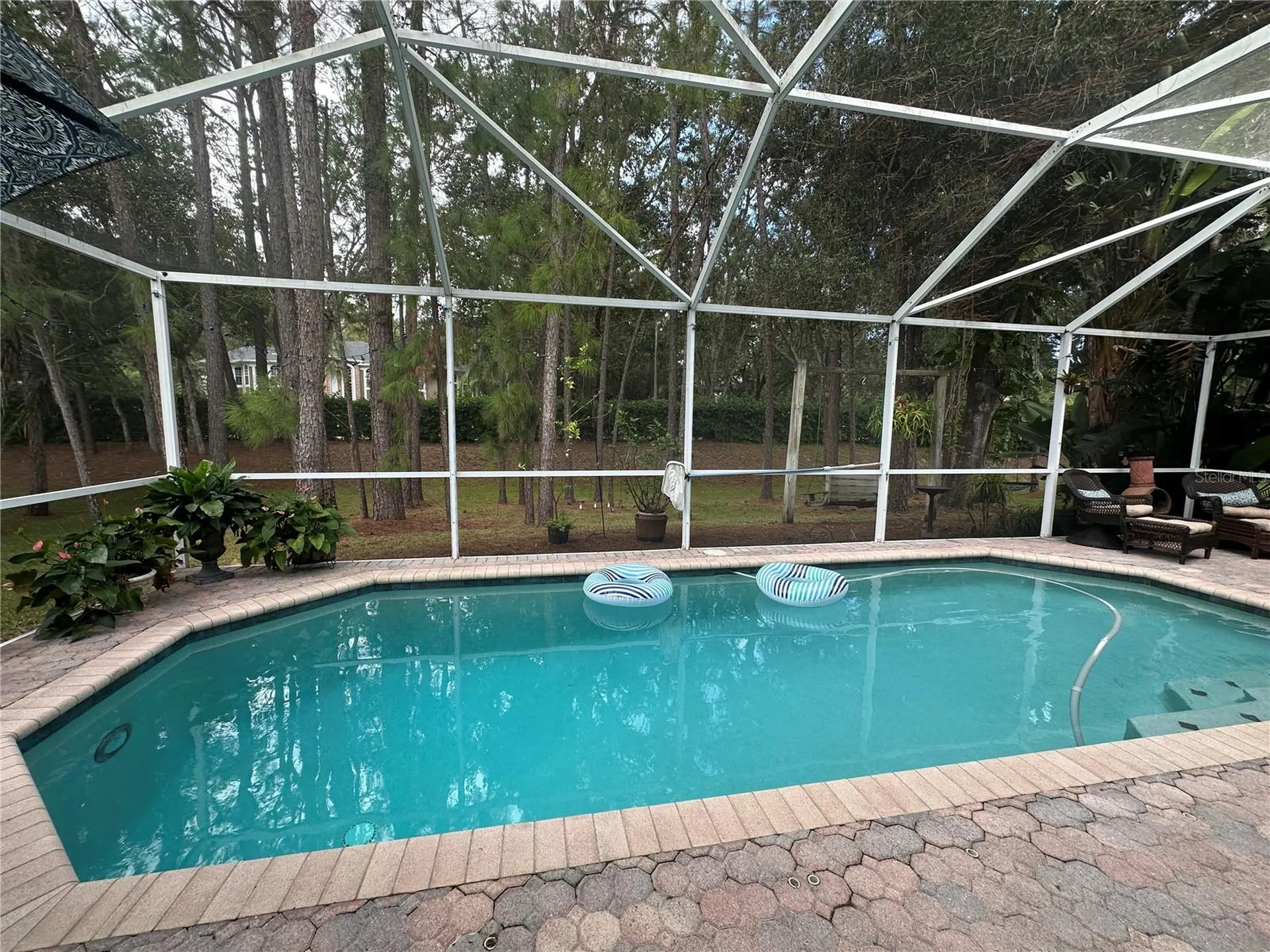 1654 Bayhill Drive Oldsmar FL 34677