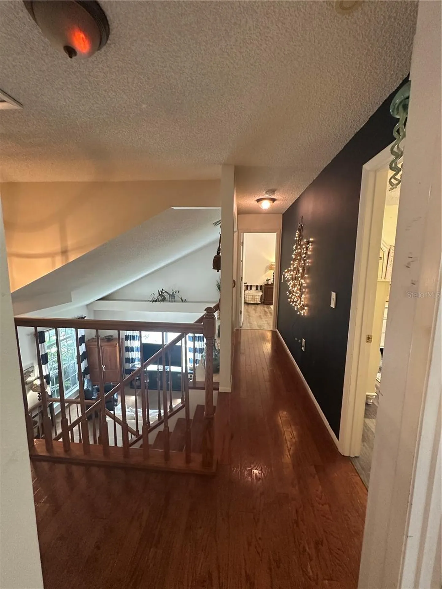 1654 Bayhill Drive Oldsmar FL 34677