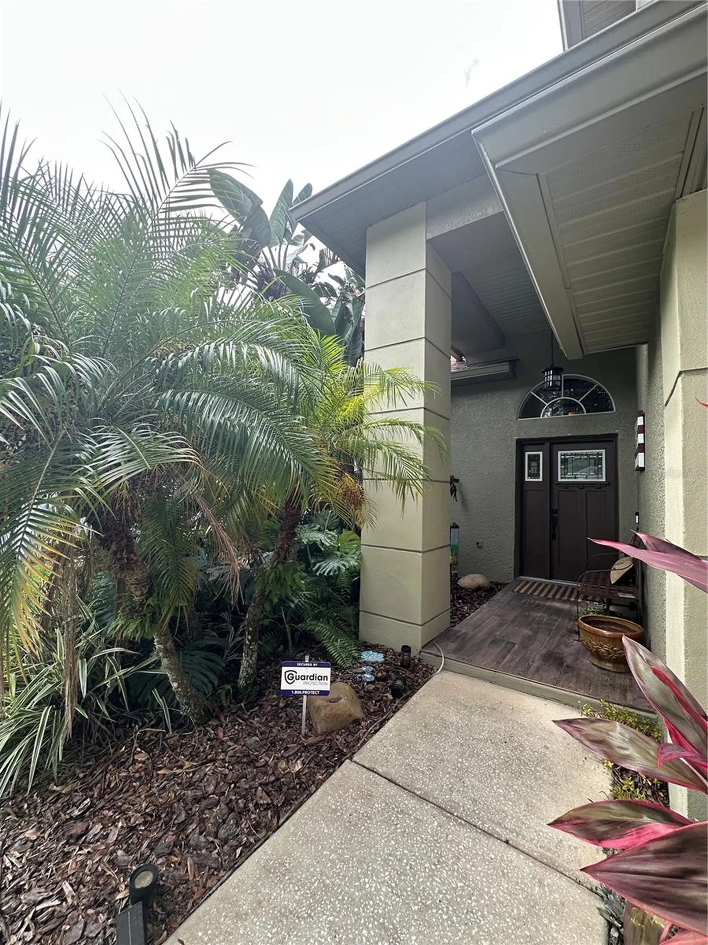 1654 Bayhill Drive Oldsmar FL 34677