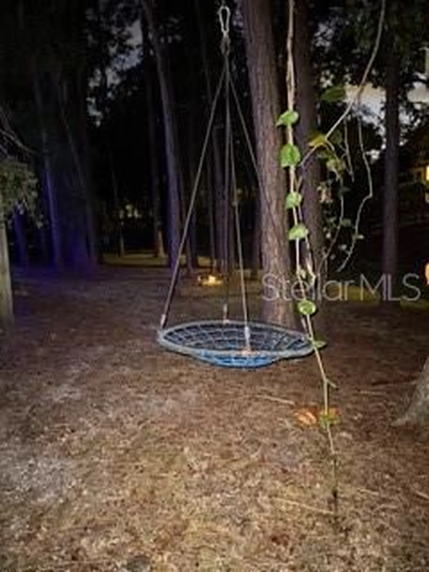 1654 Bayhill Drive Oldsmar FL 34677