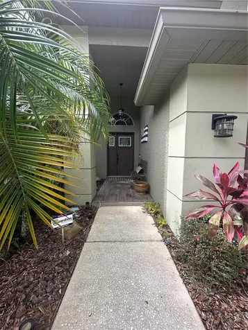 1654 Bayhill Drive Oldsmar FL 34677