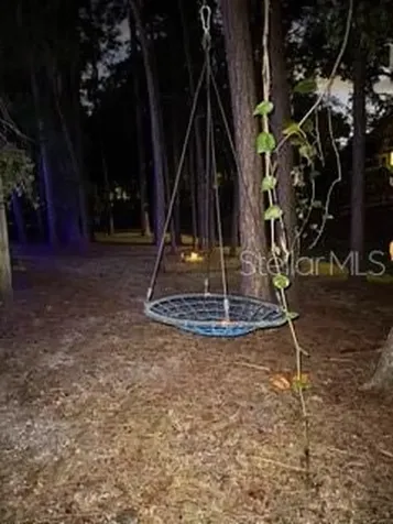 1654 Bayhill Drive Oldsmar FL 34677