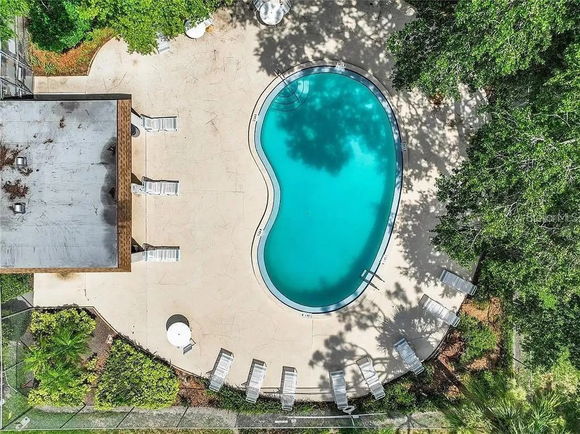 2943 Lichen Lane Clearwater FL 33760