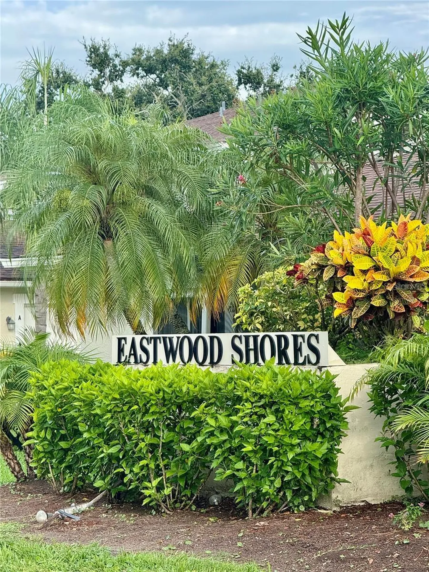 2943 Lichen Lane Clearwater FL 33760