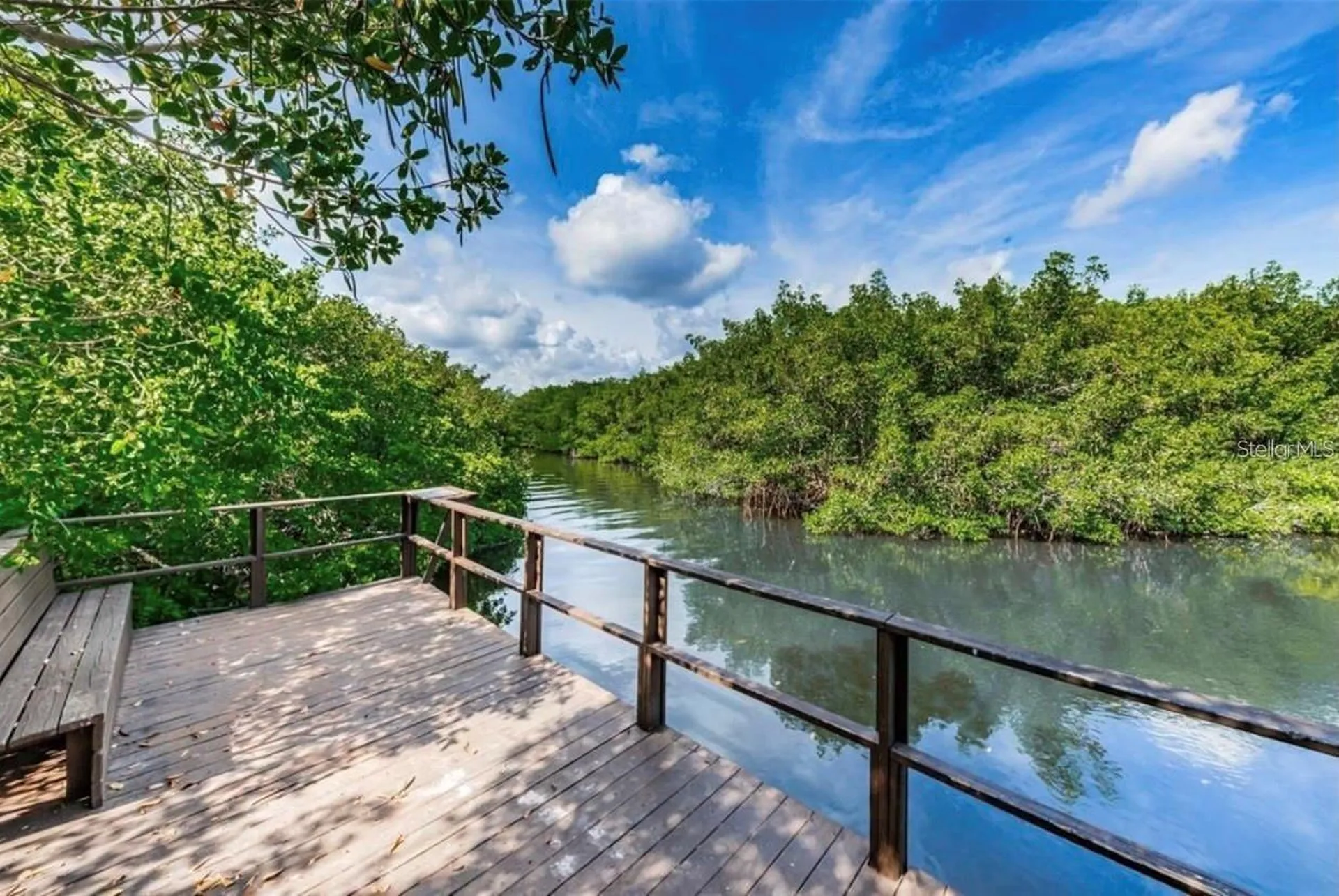 2943 Lichen Lane Clearwater FL 33760