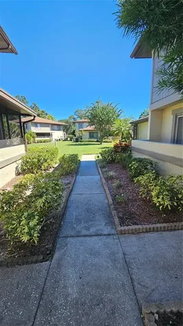2943 Lichen Lane Clearwater FL 33760