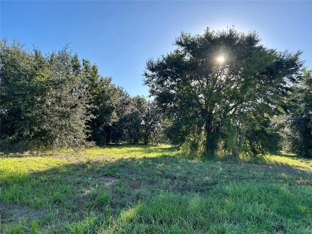 S 1st Avenue Wauchula FL 33873