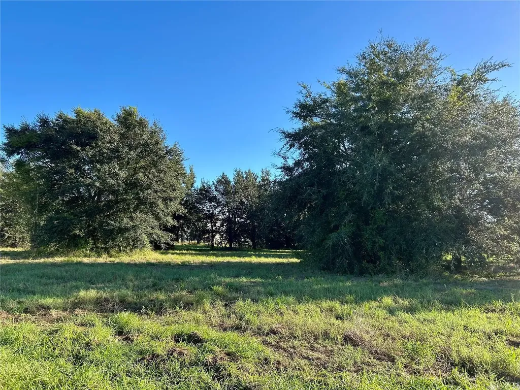 S 1st Avenue Wauchula FL 33873