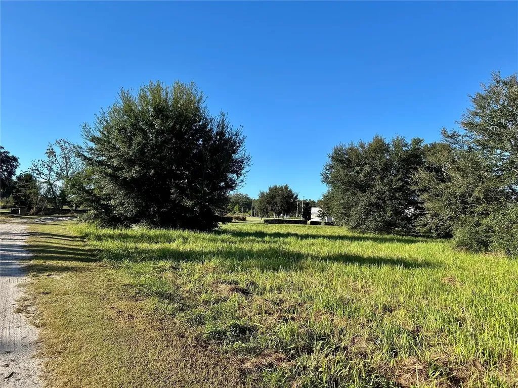 S 1st Avenue Wauchula FL 33873