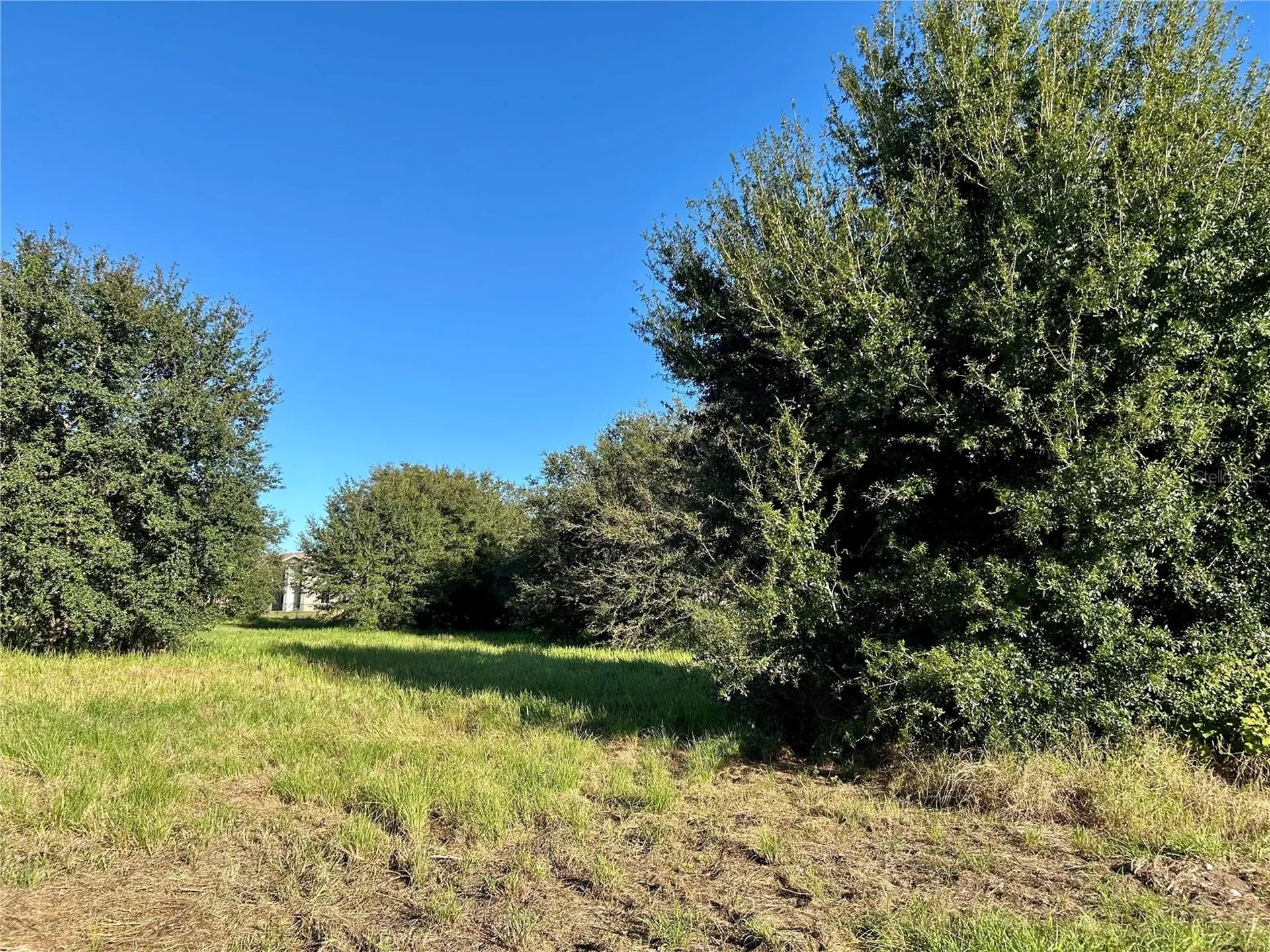 S 1st Avenue Wauchula FL 33873
