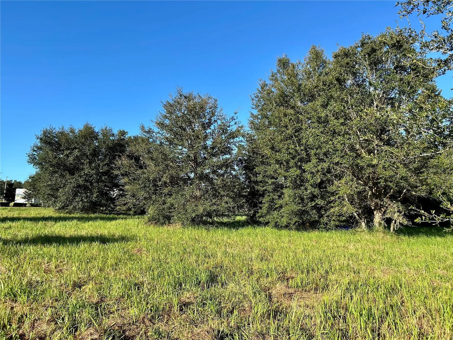 S 1st Avenue Wauchula FL 33873