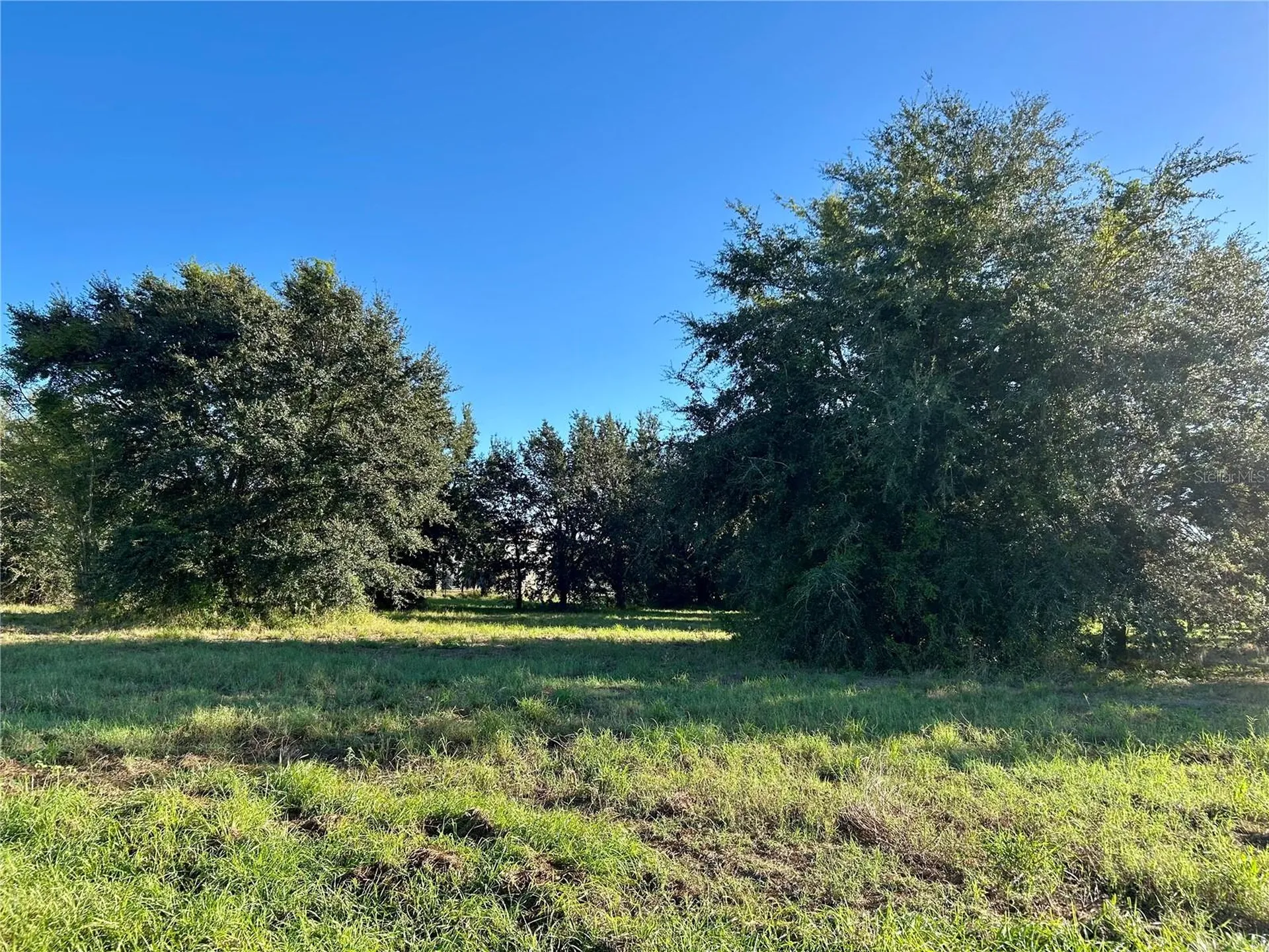 S 1st Avenue Wauchula FL 33873