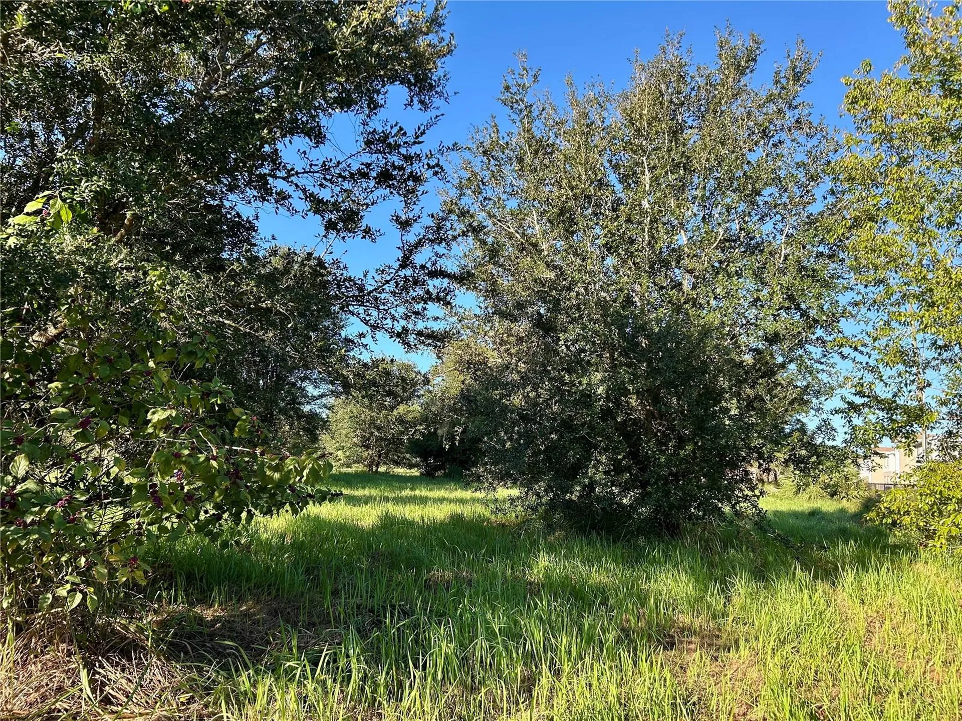 S 1st Avenue Wauchula FL 33873
