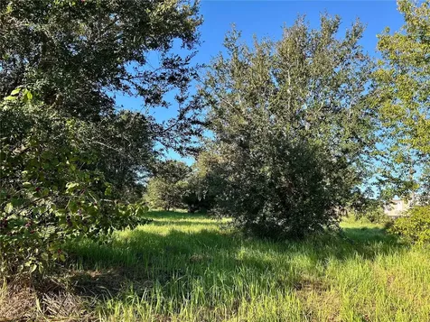 S 1st Avenue Wauchula FL 33873