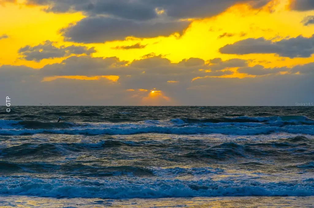 1560 Gulf Boulevard Clearwater Beach FL 33767