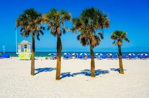 1560 Gulf Boulevard Clearwater Beach FL 33767